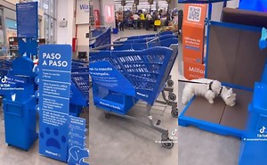 Walmart ya es Pet Friendly; ahora podrás hacer el súper con tu mascota