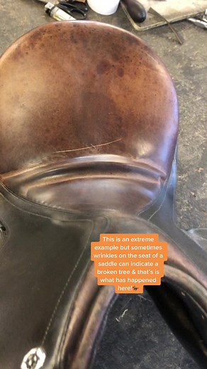 Identifying Signs of a Broken Saddle Tree | Equestrian Tips