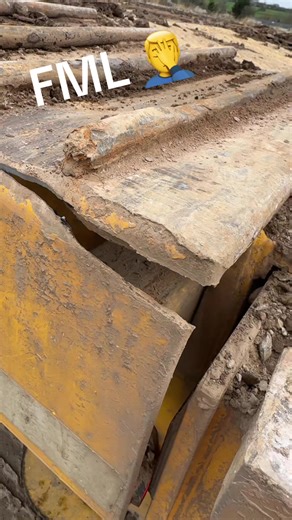 Trailer Mishap: A Break Down in Transport