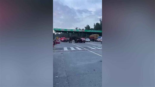 Enraged elephant attacks cars passing through toll booth in India