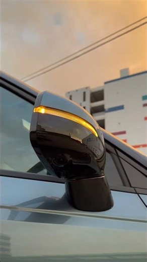 KIA Carnival/Signature 2022/06