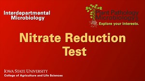 NItrate Reduction Test