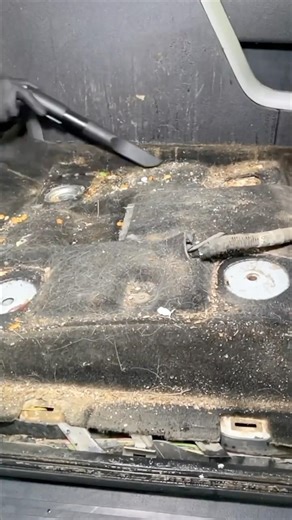 ASMR Vacuuming of a FILTHY Truck!