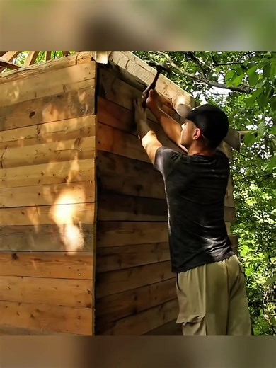 Building a House in the Forest: A Detailed Guide