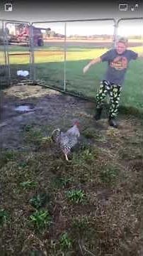 Kid gets attacked by a chicken