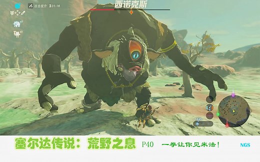 【switch】《塞尔达传说：荒野之息》 P40 西诺克斯：一拳让你见米法！