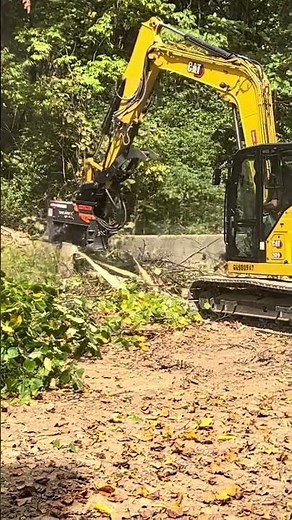 CAT Excavator & VM Forestry Mulcher Demo With Bobcat Of Atlanta!