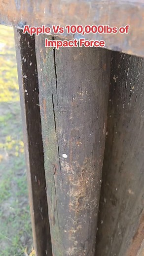 Apple Smashed with 100,000lbs of Impact Force Using a Shaver 12in hydraulic post pounder #smash #notloganpaul #shaverpostdriver #rodneypetersen | Notloganpaul