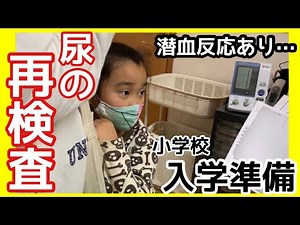 【入学準備】小学校入学前の身体検査で尿の再検査。尿に少し混じる血とは！？【小学生】