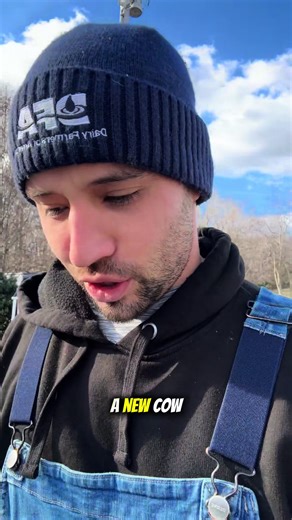 Discovering My New Dairy Cow Breed