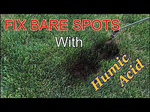 Lawn Patch Filler - Paint It Black With Humic12 (Humic Acid)