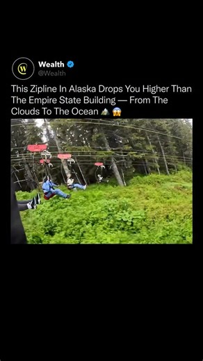 Wealth on Instagram: "Few experiences put you this high above the ground, completely exposed to weather, gravity, and distance all at once. 🏔️ 🌧️ The route begins high in the mountains of Hoonah, Alaska, crossing rainforest, rivers, and open water near Icy Strait Point. The length matters, because it’s not a quick pass. The height and exposure stay with you the entire way down. Near-freezing rain, shifting wind, and low cloud cover turn the descent into a sustained test of elevation and enviro