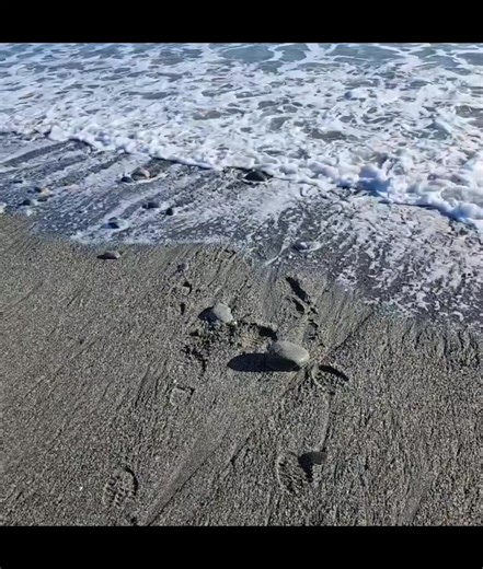 Beach serp fossick to finished toki. | Campbell Carving