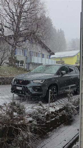 Exploring Car Vibes with CUPRA Ateca