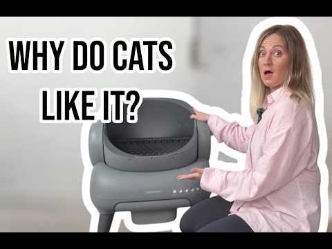 The Self-Cleaning Litter Box Cats Don't Refuse — Neakasa M1 Plus Honest Review