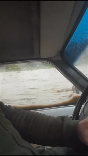 𝐏𝐈𝐌𝐏𝐀𝐍𝐙𝐄𝐋 | 𝘗𝘈𝘙𝘈𝘕𝘖𝘙𝘔𝘈𝘓𝙈𝙀𝙈𝙀𝙎 𝘿𝘼𝙄𝙇𝙔 on Instagram: "-𝕏 Tired of this virg!n life?No one wants you to be their savior?I think i have the best solution for you: Among the best-known sauropods, Diplodocus were very large, long-necked, quadrupedal animals, with long, whip-like tails. Their forelimbs were slightly shorter than their hind limbs, resulting in a largely horizontal posture. The skeletal structure of these long-necked, long-tailed animals supported by four sturd