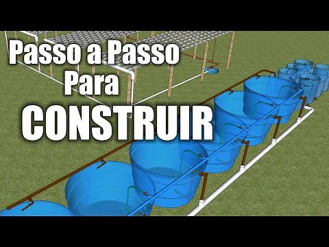 Learn how to build a fish farming and aquaponics system, step by step in 3D.
