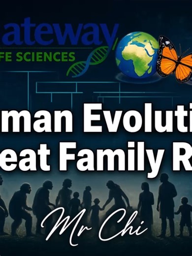 Human Evolution Explained: Great Family Reunion and Out of Africa