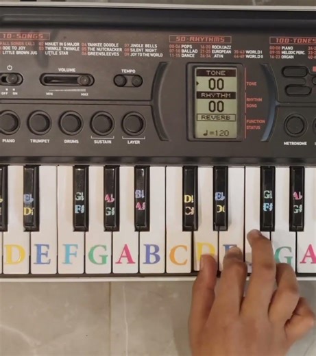 JAMURATHRI JABILAMMA song in piano 🎹
