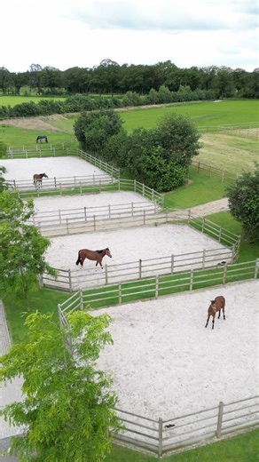 8.4K reactions · 459 shares | Great fencing is about the wood you use, but also about vision. A great field design ensures durability, safety, and stunning aesthetics!  At De Sutter Naturally, we have a team of experts ready to assist you personally in the search for the right solution for your property. Get in contact with us now to discover our offer! #desutternaturally #landscapedesign #woodenfence #horsefield #paddock | De Sutter Naturally | Facebook