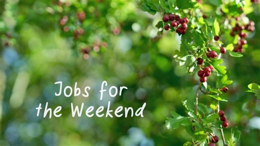 BBC Gardeners World on Reels