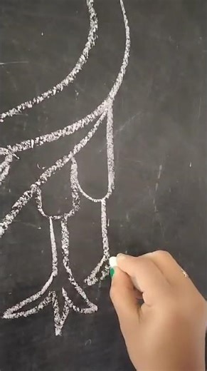 Pencil drawing of parrot in one minute, Easy drawing of parrot ୧ ମିନିଟ୍ ରେ ଶୁଆ ଅଙ୍କନ