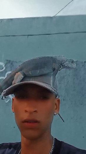 Vídeos Exclusivos no Insta: Siga Mandrake PBS