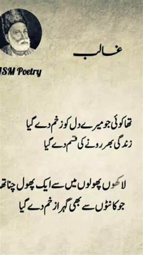 Most important poetry of Mirza Galib golden words great poetry #mirzagalib