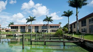 Toxic blue-green algae: Everything you wanted to know, and then some