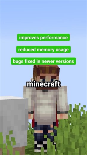 6 Optimisation Mods that you need for Minecraft