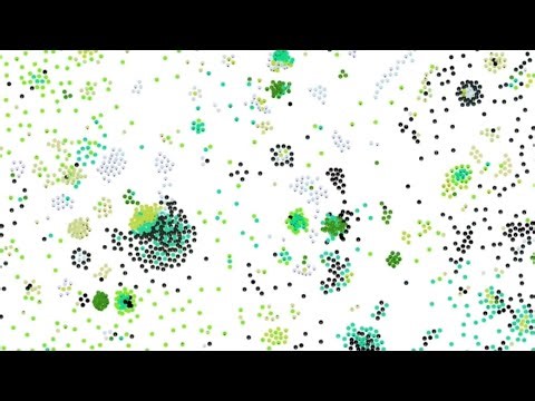 Particle Life, huge simulation!