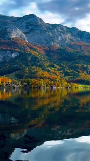 فيديوهات أنشأها stop1 (@stop12650) باستخدام الصوت الأصلي - بدر المشاري