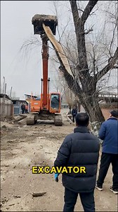 Tree Snapped Clean With Hydraulic Power. #TreePullingMachine #ExcavatorPowerMove #LandClearingWork #HydraulicTreeBreak #ConstructionSiteAction | Doraya Jennings
