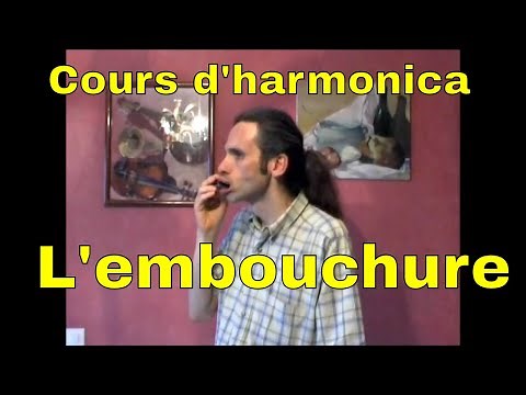 Learning the diatonic harmonica - The embouchure - How to properly put the harmonica in your mouth?