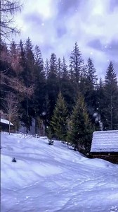 Peaceful Winter Forest 🌲 Snow Falling Ambience #relax #rain #cozynights