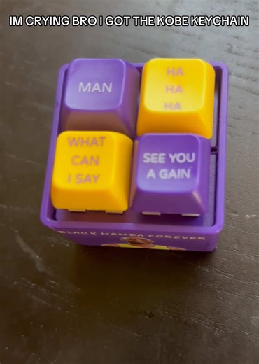 jokes aside RIP Kobe Bryant but this keychain is so stupid also the audio quality sucks too i had my music teacher rate it❤️❤️❤️❤️he loves it #kobe #funny #flamingo #mrflimflam #fyp