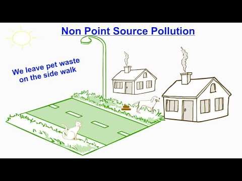 Basics of Non-Point Source Pollution