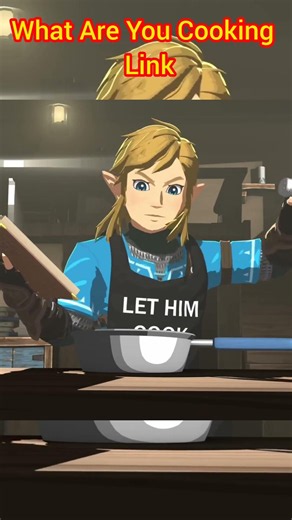 What Are You Cooking Link | The Legend of Zelda Animation