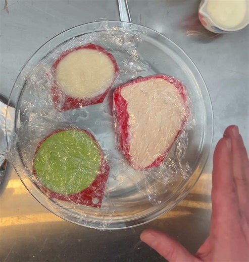 I didn’t know you can do that? ￼Prep Puree Meals for Days in Advance (Dysphagia Safe)