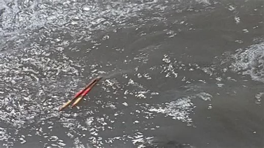 Spur.des.Falken.1968.German.Remastered.BDRip.x264.iNTERNAL