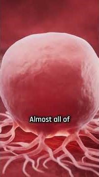 Cannabinoids can trigger cancer cell death and block tumor growth