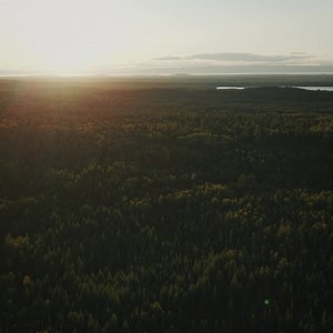 A new chapter for nature in Saint-Alexandre-de-Kamouraska, in Quebec’s Bas-Saint-Laurent region 🌲 More than 815 hectares of forests, lakes, rivers and wetlands are now protected, creating a safe haven for plants and wildlife, strengthening climate resilience, and preserving old-growth ecosystems for generations to come. This conservation milestone was made possible thanks to the collective action of Environment and Climate Change, Ministère de l'Environnement, de la Lutte contre les changements