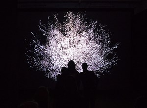 As technology advances, we question what it means to be human