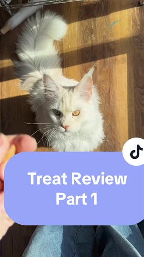 Loki’s official review of @Farm to Pet is in….and it was unhinged. Use code LOKIMURDERMITTENS for a discount. What’s YOUR cats favorite treat and we will review it next! #catreview #cattreats #mainecoon #catsoftiktok #affiliate
