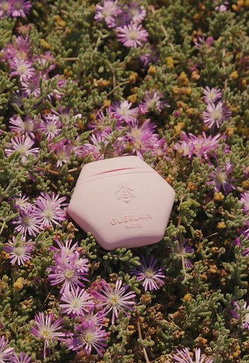 Aqua Allegoria Hand Creams: Nature-Inspired Sensory Bliss