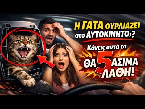 Η ΓΑΤΑ σου ουρλιάζει στο αυτοκίνητο; 🙀 Κάνεις αυτά τα 5 ΘΑΝΑΣΙΜΑ λάθη!