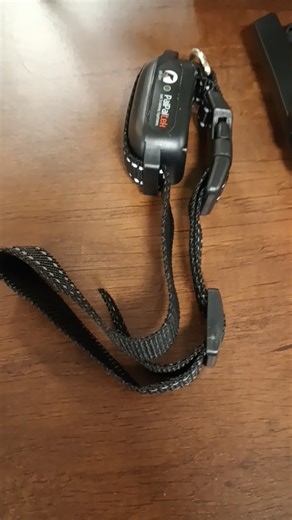 Watch with A clicker on Amazon Live