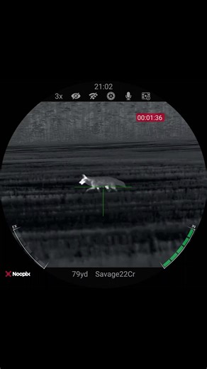 NOCPIX Ace h50r. Sometimes they just don’t want to stop!!! #foxpro #nocpix #coyote #nighthunting #thermal
