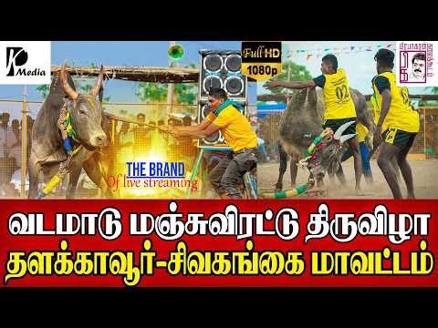 🔴 LIVE (நேரலை) | தளக்காவூர் வடமாடு மஞ்சுவிரட்டு | சிவகங்கை மாவட்டம் | PK Media