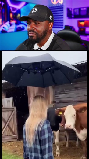 Why Nobody Needs a Drone Umbrella #trending #tech
